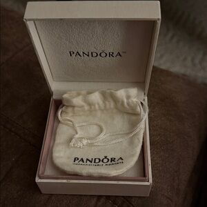 Pandora bracelet box and bag